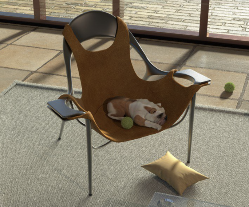 sling armchair in styled space with dog napping in it