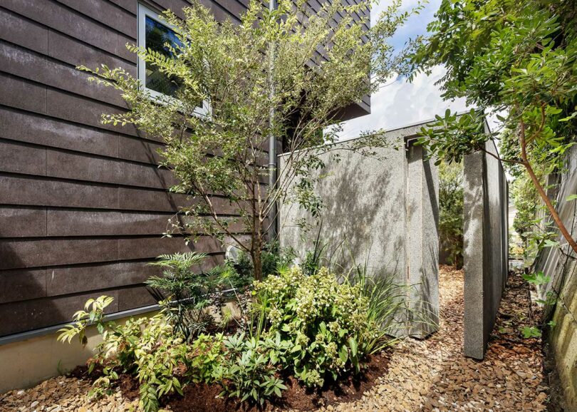 closeup external view of modern home with a planted filled path going beside it