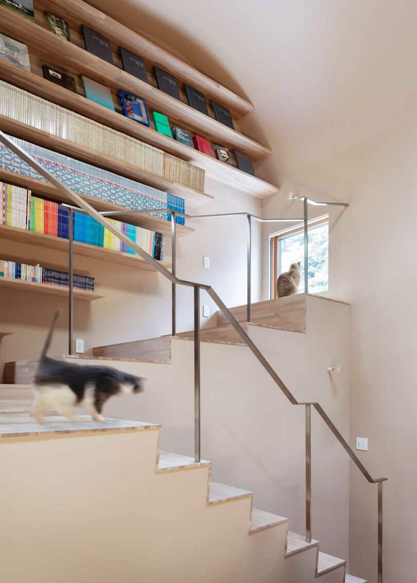 up angled view of modern home interior with steps leading to bookshelves