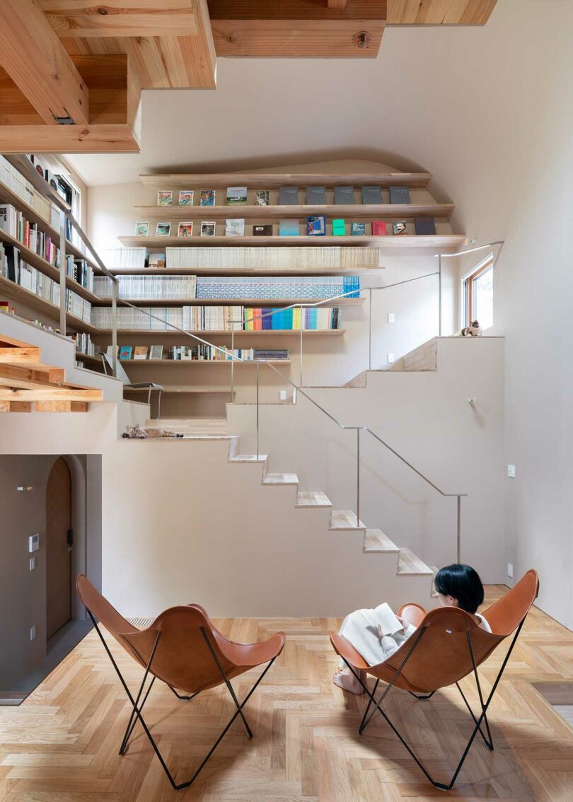 interior view of modern living space with 2 butterfly chairs and a stairs leading up to walls of bookshelves.