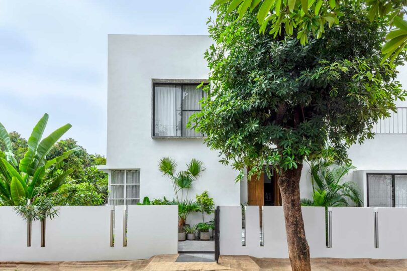 front exterior shot of modern white house behind white fence with tree on right hand side