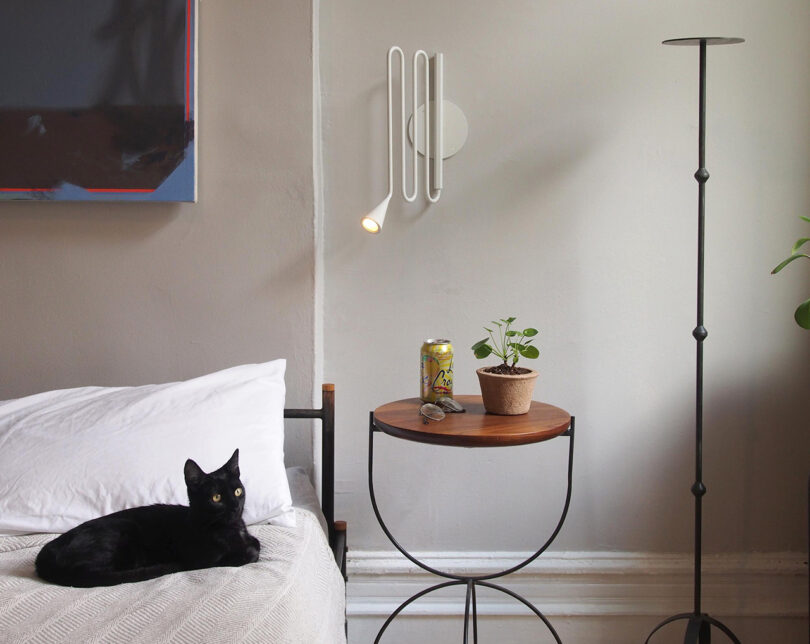 Small black cat comfortably laying across the right side of a bed with small circular side table topped with house plant and La Croix sparking water can to the right, a painting directly above the bed, and a small all white Louis Collection swing arm reading lamp above the side table.