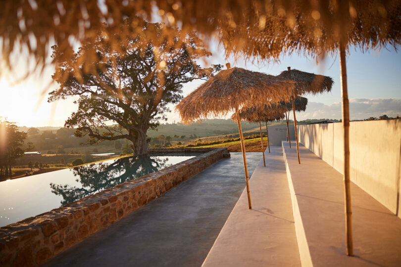 Five palm umbrellas run alongside a 82 foot pool reflecting a nearby tree during sunset.
