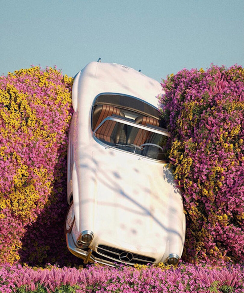 a vintage white convertible driven between two large flowering bushes