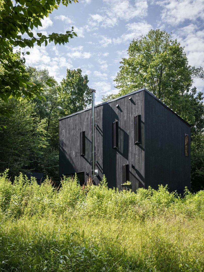 back angled exterior view of modern black box house surrounded by trees