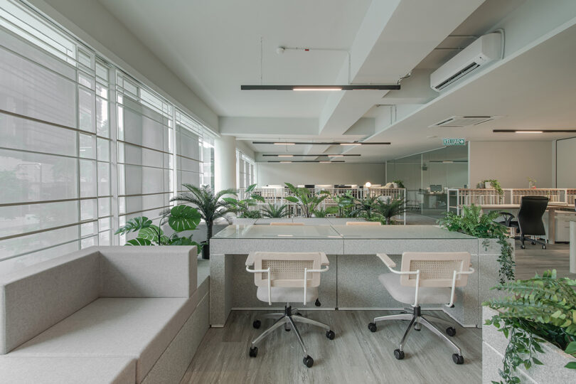 modern open office in light tones
