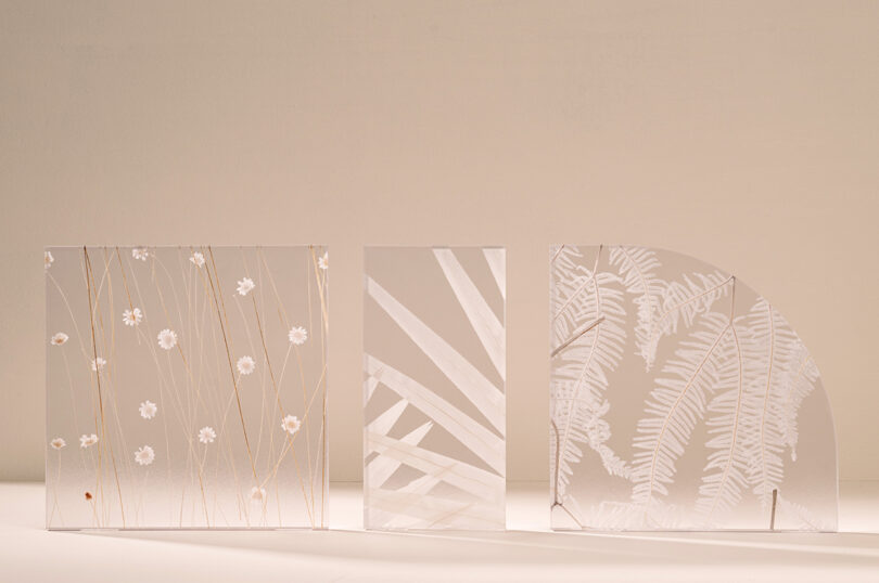 three examples of biophilia patterns on a frosted white substrate material