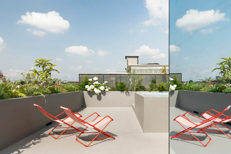 rooftop patio with plants and lounge chairs