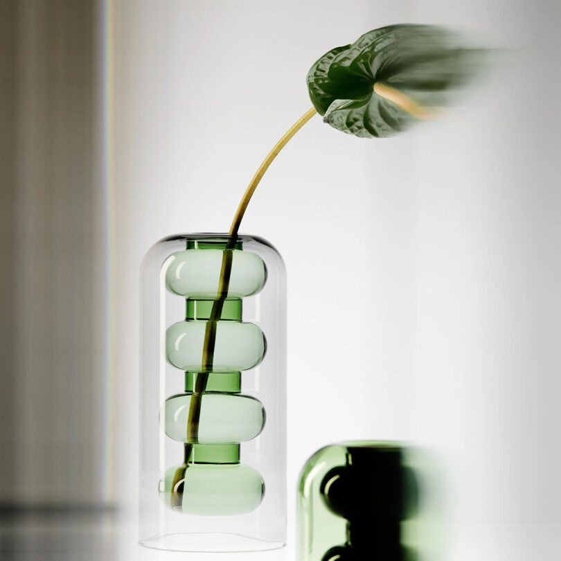 Clear modern glass vase with green interior detailing, with a single stem flower inside it