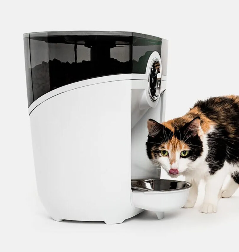 calico cat eats from a white automatic feeder