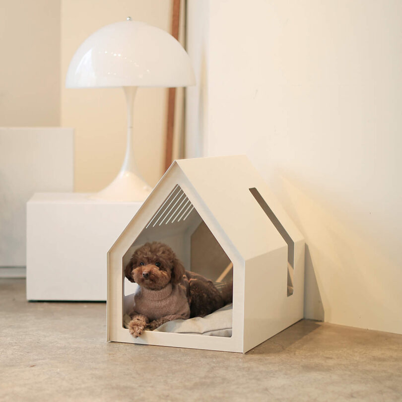modern dog house shaped like an actual house