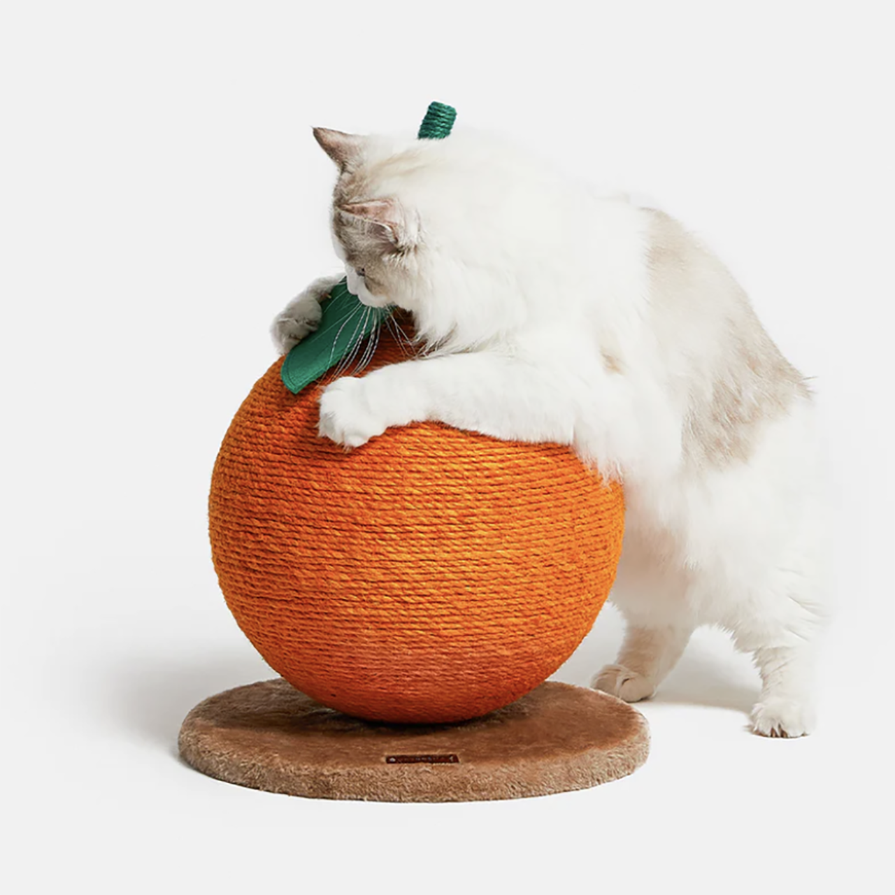 Ice Cream Ball: Cheerble M2 Interactive Silicone-Covered Cat Ball