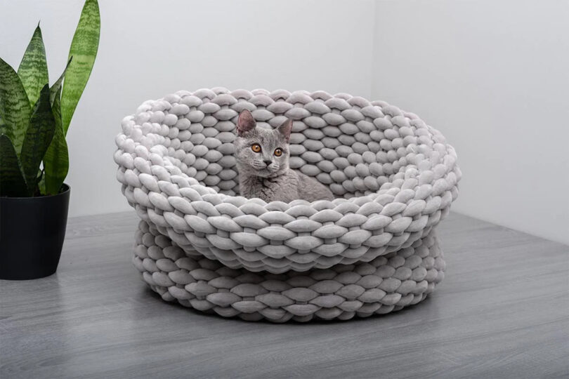 large knit light grey pet bed with a grey kitten