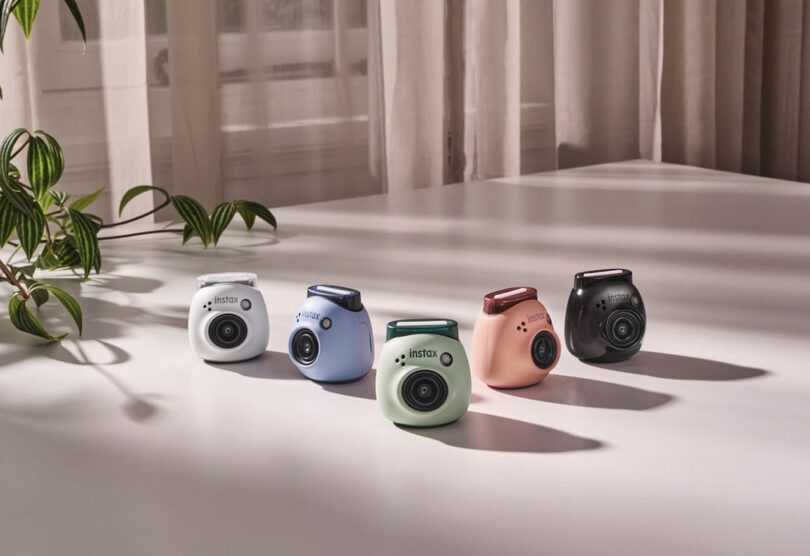 Câmeras de filme Instax em 5 cores diferentes em uma superfície branca perto de uma planta de casa e uma janela.
