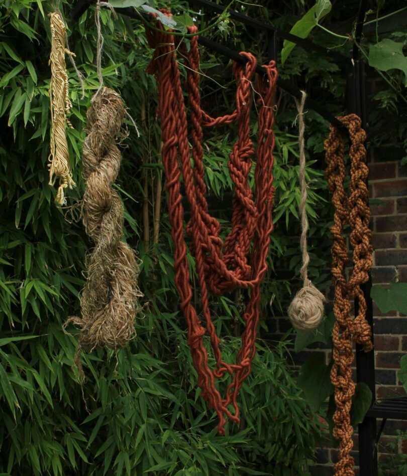 Ropes and cords in various colors hang from an unseen cord in front of greenery