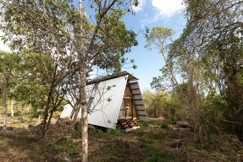 vista externa angular da cabana com estrutura em forma de telhado de zinco na floresta