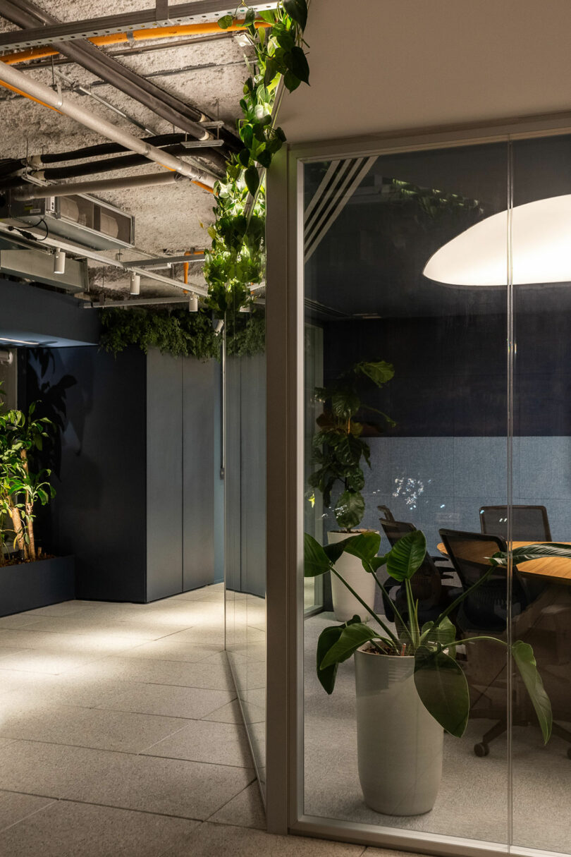 meeting room with greenery hung above