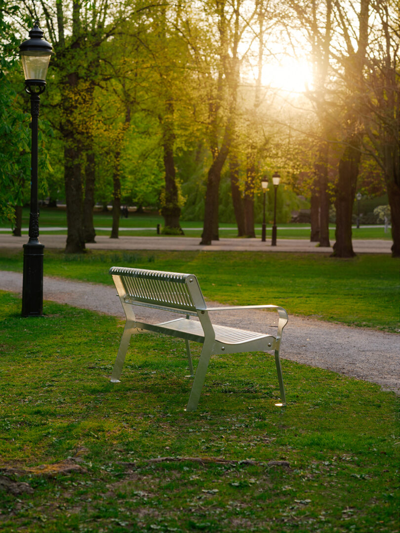 steel outdoor bench in a green space at sunset