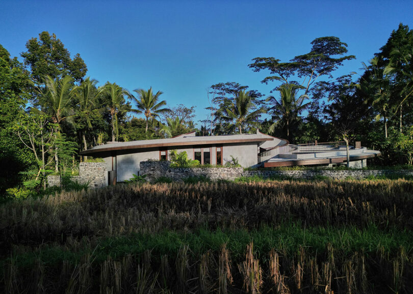 daytime view of modern concrete house surrounded by trees