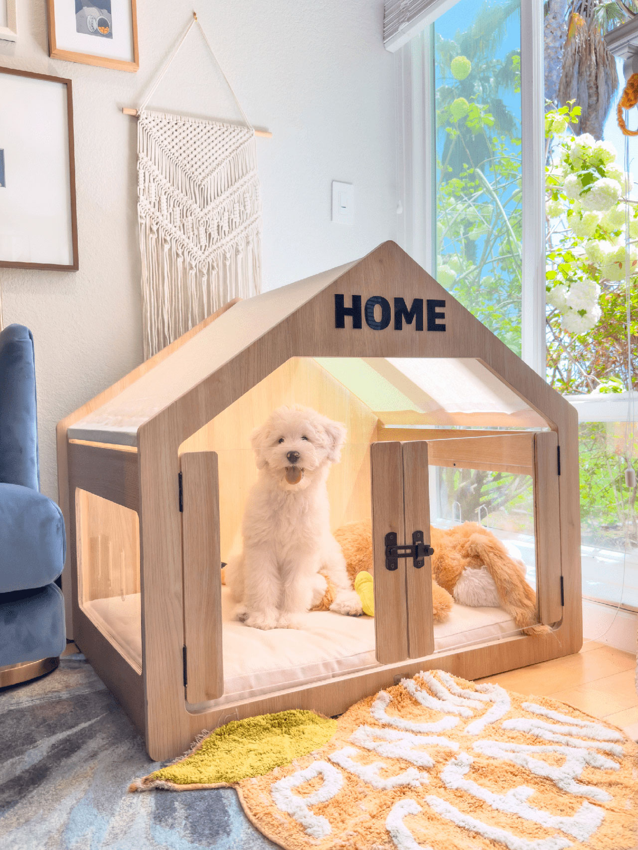 Dog store house in