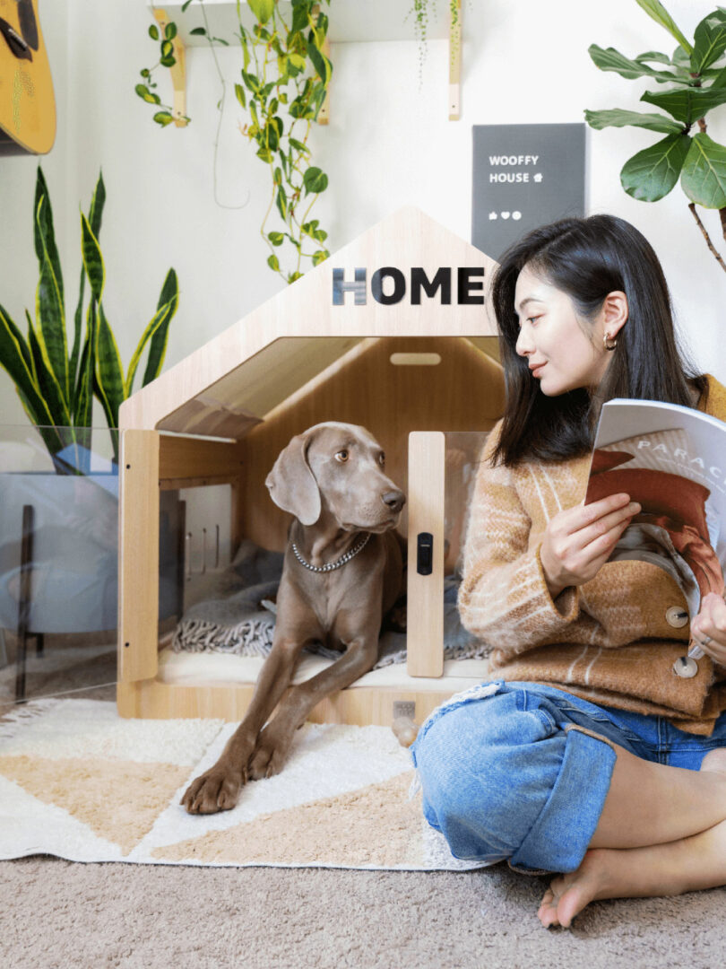 modern wood and plexi indoor dog house with brown dog partially inside and woman sitting in front of it