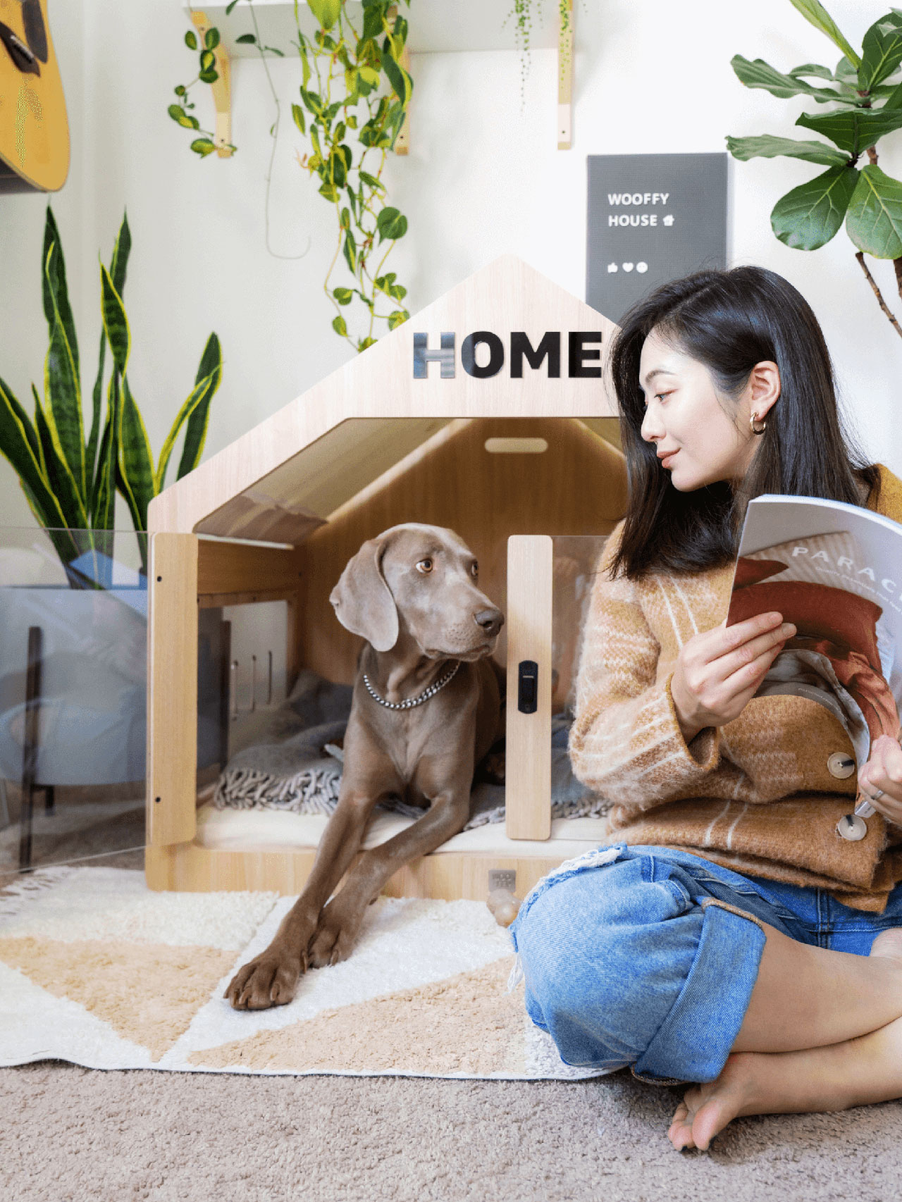 Say Goodbye to Wire Crates With the Chic Wooffy Dog House