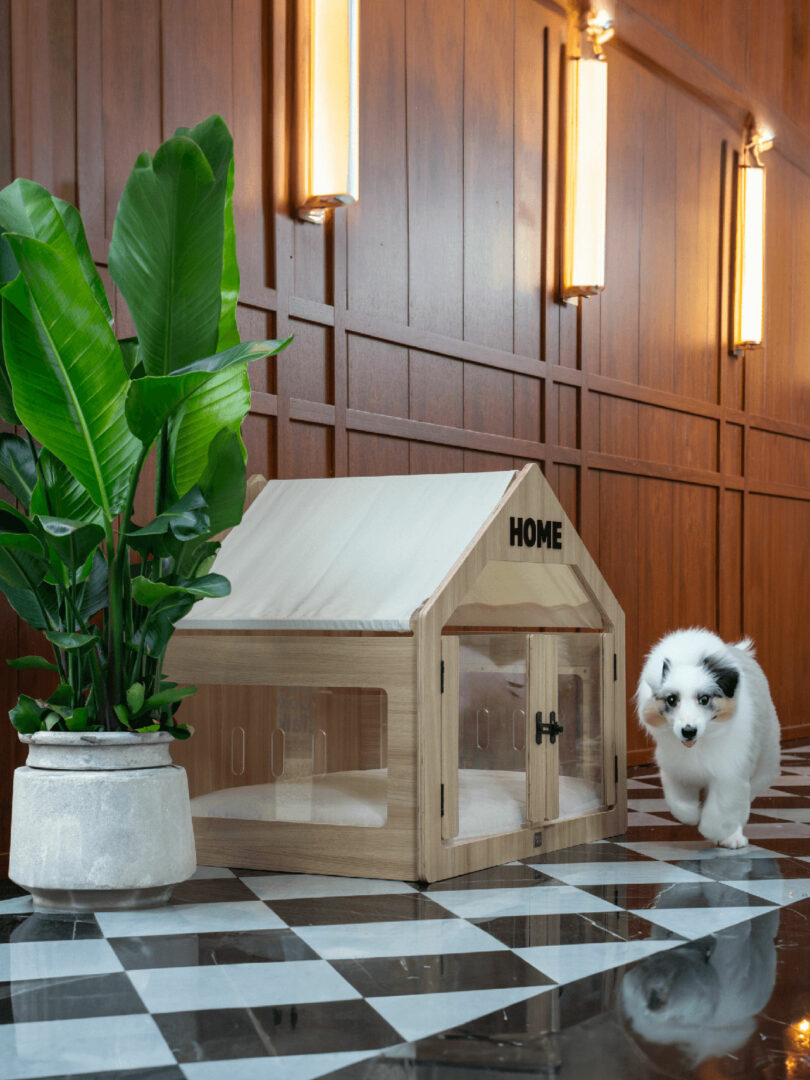 angled view of modern wood and plexi indoor dog house on checkered floor with dog walking in front of it