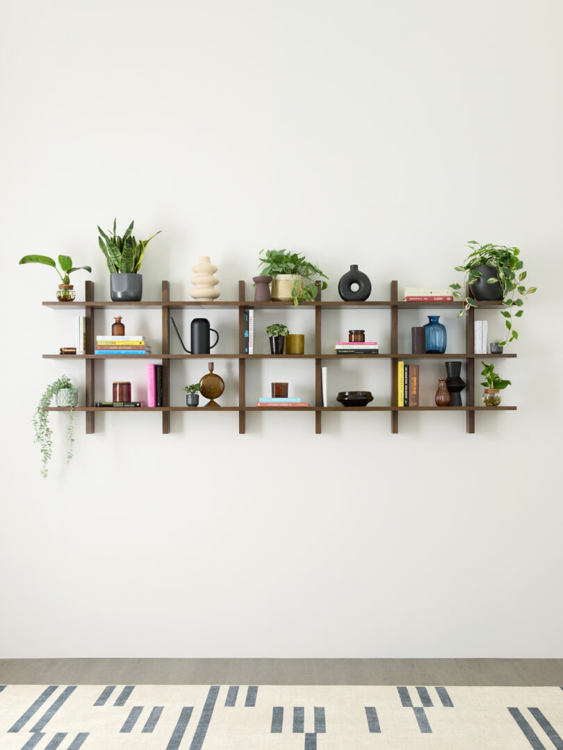 modular walnut shelf holding various plants, books, and objects