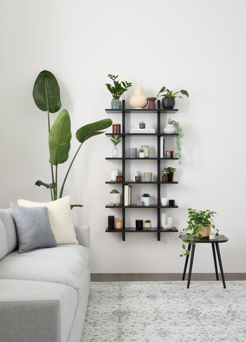 modular black shelf holding various plants, books, and objects