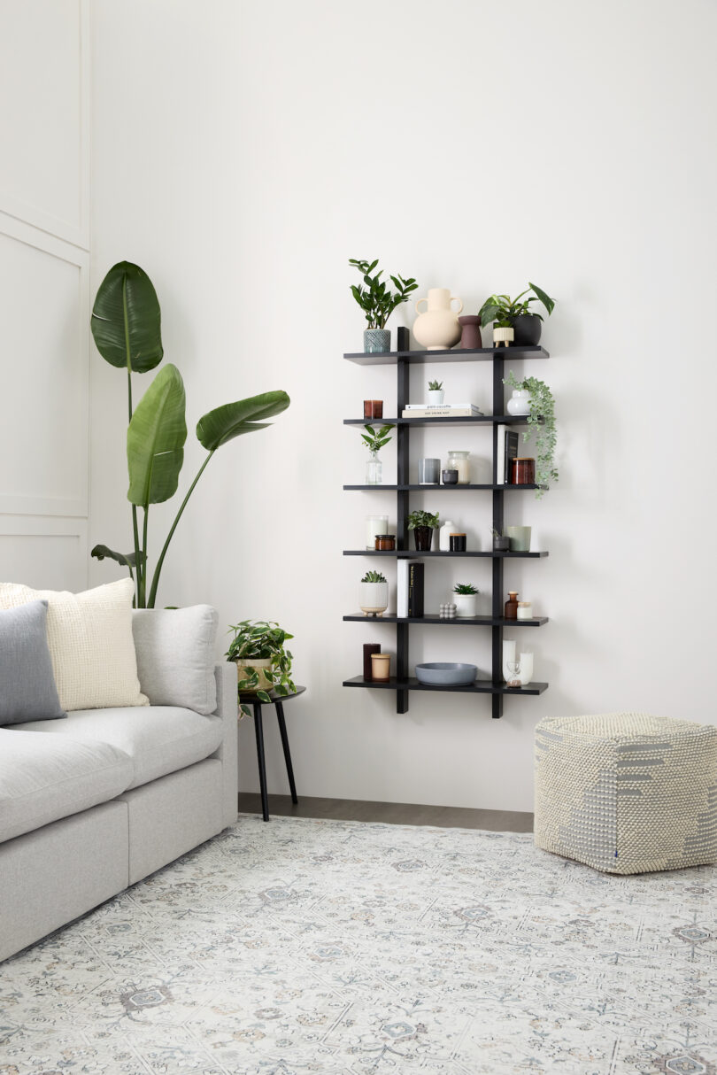 modular black shelf holding various plants, books, and objects