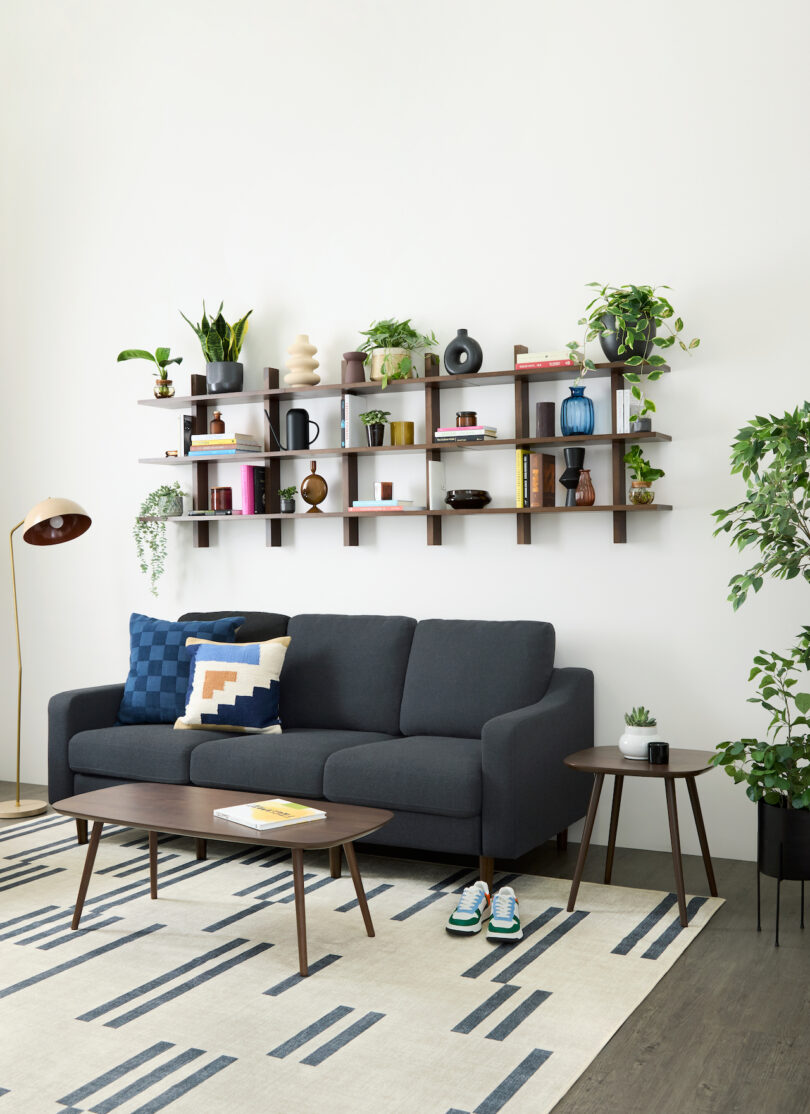 modular walnut shelf holding various plants, books, and objects