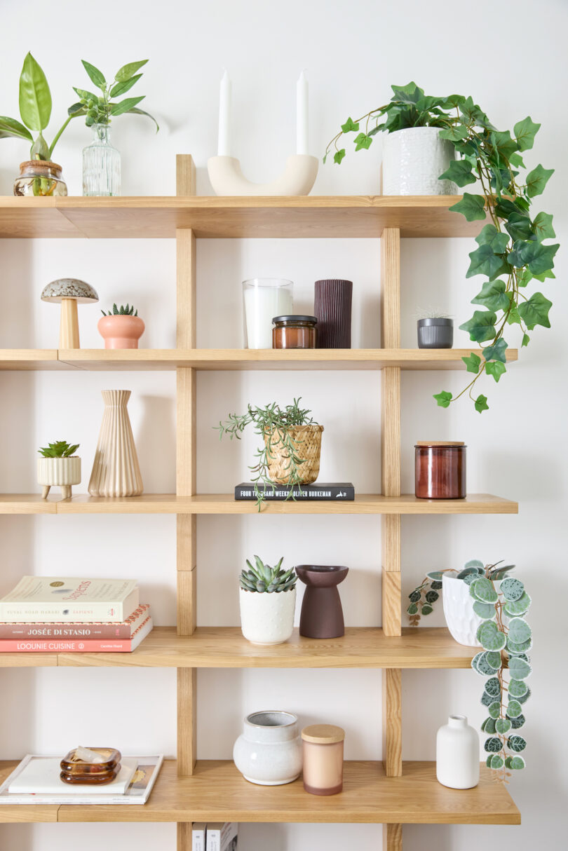 modular oak shelf holding various plants, books, and objects