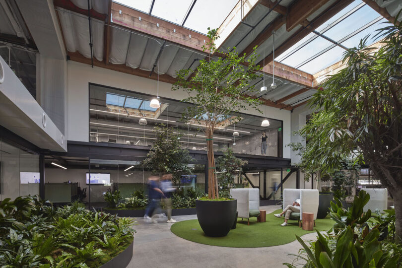 green courtyard in the middle of a warehouse office
