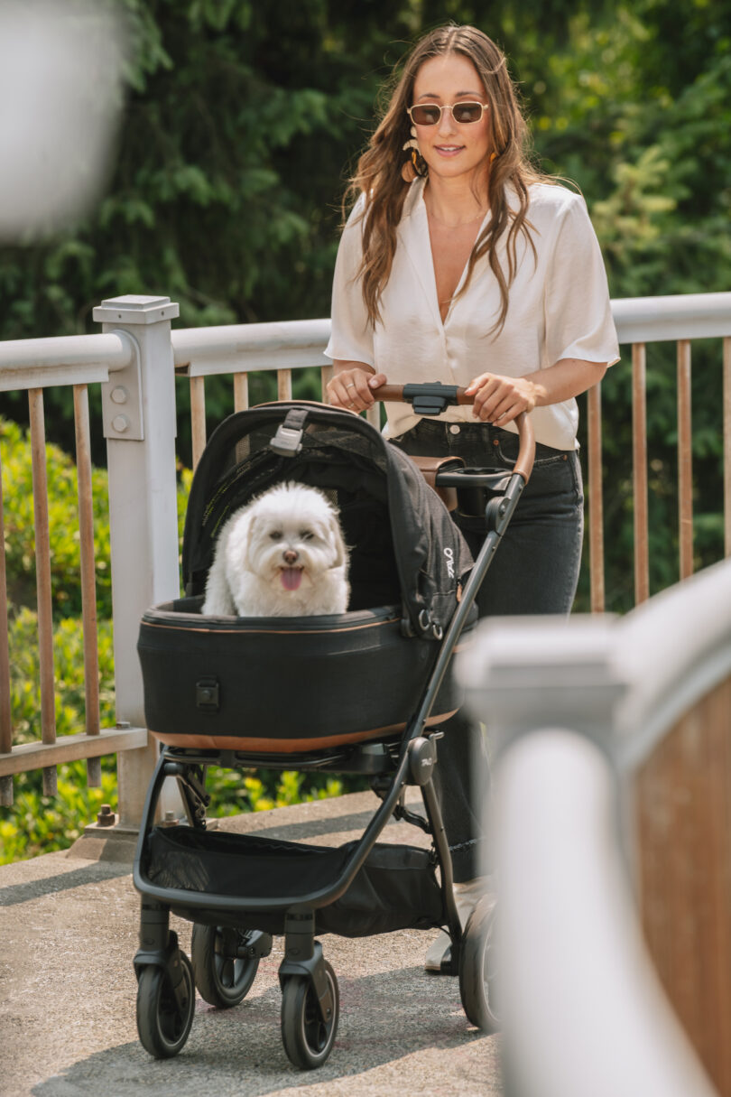 woman pushing dog in stroller