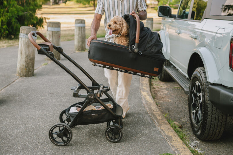 man carrying a dog in a pet carrier