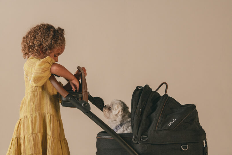 child pushing a white dog in a black carrier and stroller