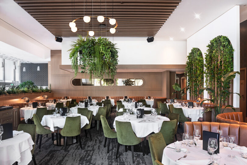 styled commercial dining space with white tablecloth covered tables, upholstered olive green dining chairs, and greenery