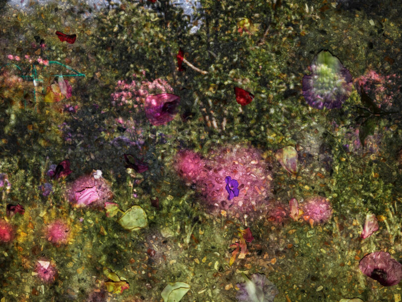 Abelardo Morell Invites You to Stand in the Shadow of Monet