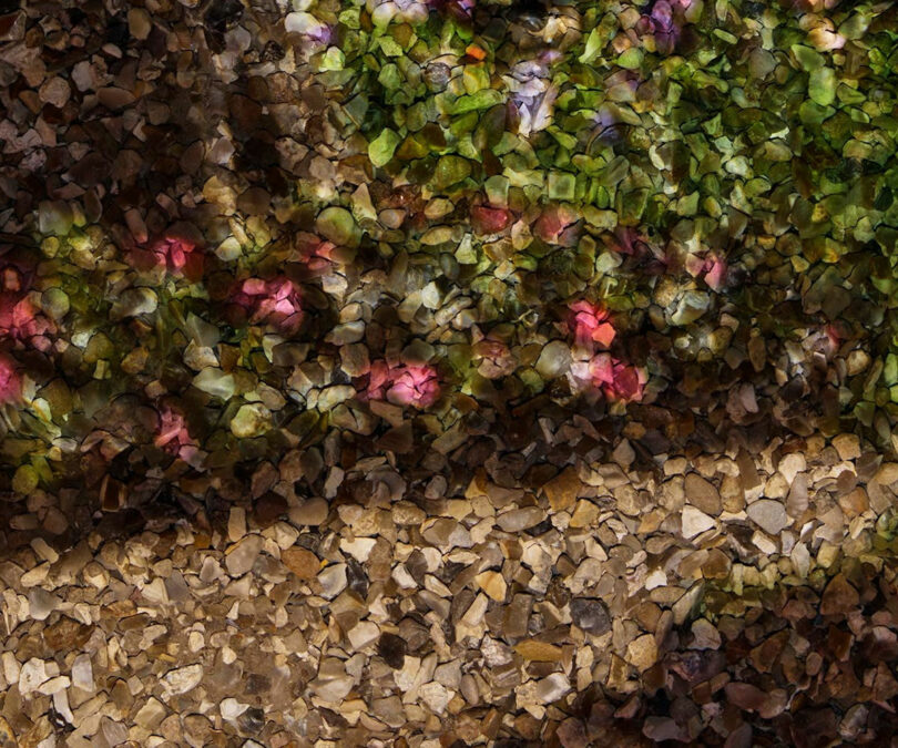 Rocky ground illuminated by a projection of pink flowers