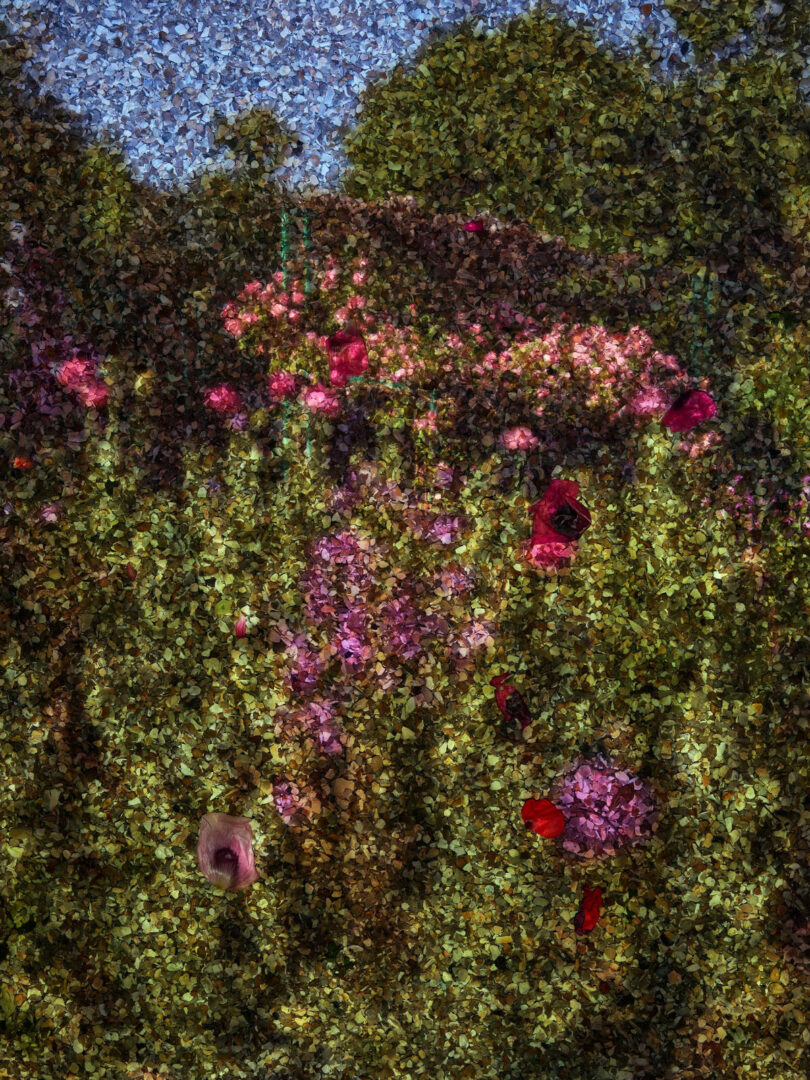 pink and purple flowers in Monet's Garden over textured ground