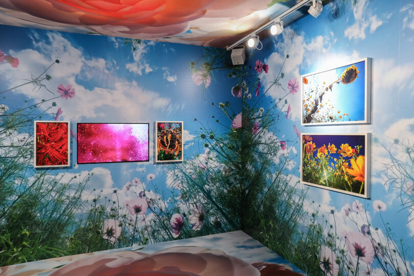 Bright and colorful floral themed and decorated exhibition room of Mika Ninagawa's floral themed photos.