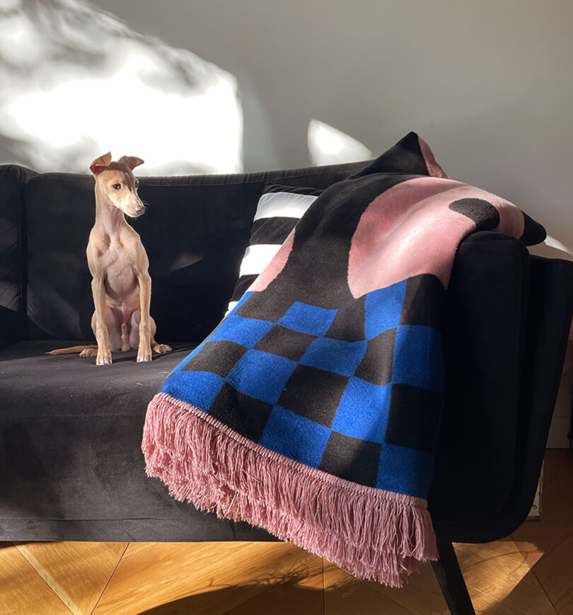 انتزاعی هندسی صورتی، آبی و مشکی روی مبل مشکی با سگ قهوه‌ای روشن