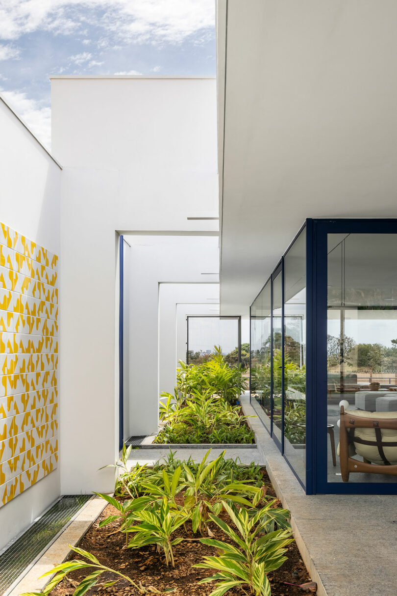 A narrow agricultural courtyard runs between sections of the modern house
