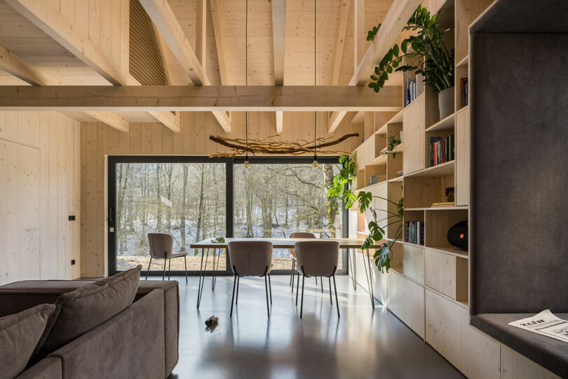 interior shot of minimalist home with light wood ceiling and bookshelves