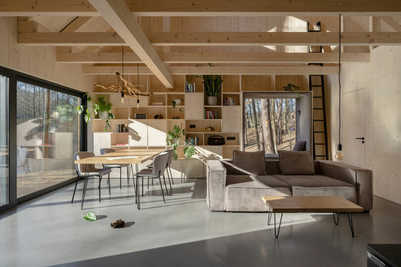interior shot of modern living space with light wood open ceiling and minimalist furnishings with light flooding in