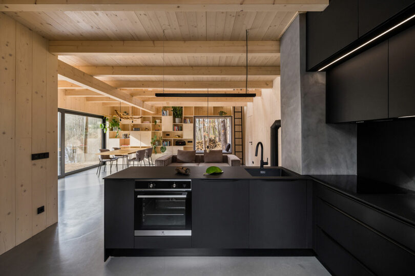 interior view from modern small black kitchen to rest of open living room with light wood ceilings