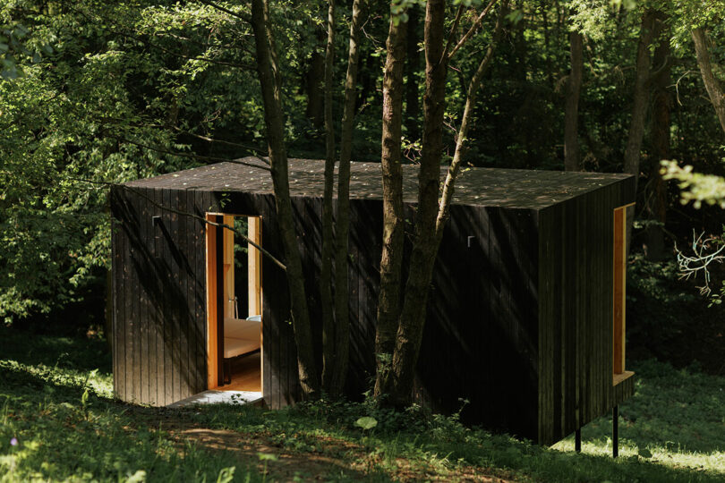 exterior shot of modern bathroom sauna in woods