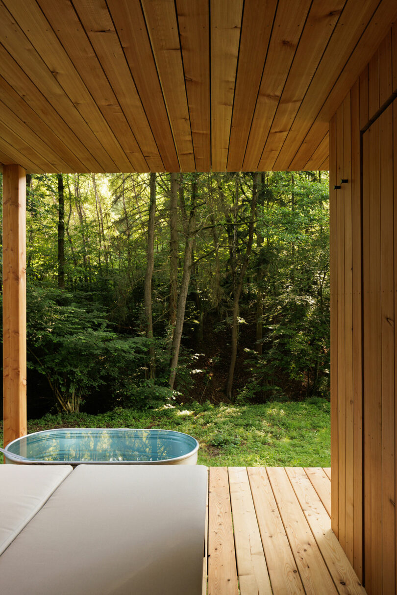 view from minimalist sauna and bathroom in woods