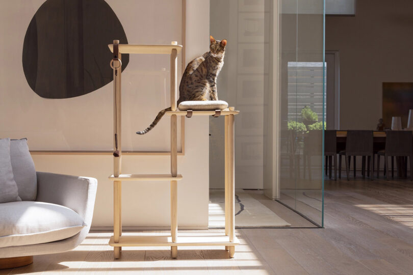 Papuk: A Feline-Loving Designer?s Elegant Cat Tree