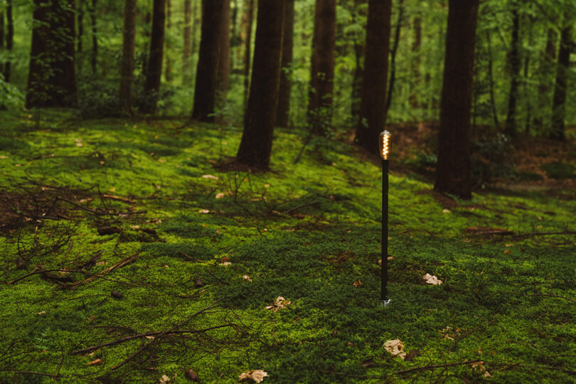 outdoor torch in the middle of a forest